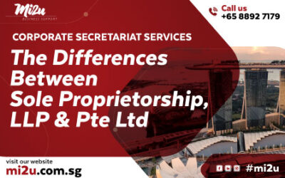 The Differences Between Sole Proprietorship, LLP and Pte Ltd