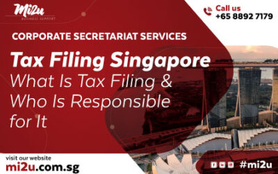 Tax Filing Singapore-What Is Tax Filing and Who Is Responsible for It